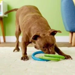 JW Pet Invincible Chains Triple Dog Toy, Color Varies 5 JW Pet Invincible Chains Triple Dog Toy, Color Varies -Pet Care Sales 71039 pt8. AC SS1800 V1503351698