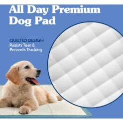 Simple Solution Original Training Pads, 23" X 24" -Pet Care Sales 71191 PT3. AC SS1800 V1567777051