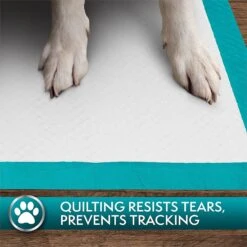 Simple Solution Original Training Pads, 23" X 24" -Pet Care Sales 71191 PT7. AC SS1800 V1567777055