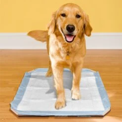 Simple Solution Training Pad Holder 10 Simple Solution Training Pad Holder -Pet Care Sales 71193 PT3. AC SS1800 V1633077382