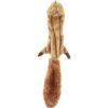 Ethical Pet Skinneeez Forest Series Squirrel Stuffing-Free Squeaky Plush Dog Toy