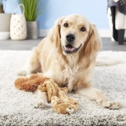 Ethical Pet Skinneeez Forest Series Squirrel Stuffing-Free Squeaky Plush Dog Toy 7 Ethical Pet Skinneeez Forest Series Squirrel Stuffing-Free Squeaky Plush Dog Toy -Pet Care Sales 71344 PT7. AC SS1800 V1527093148