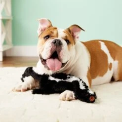 Ethical Pet Skinneeez Forest Series Skunk Stuffing-Free Squeaky Plush Dog Toy -Pet Care Sales 71347 PT7. AC SS1800 V1527093166