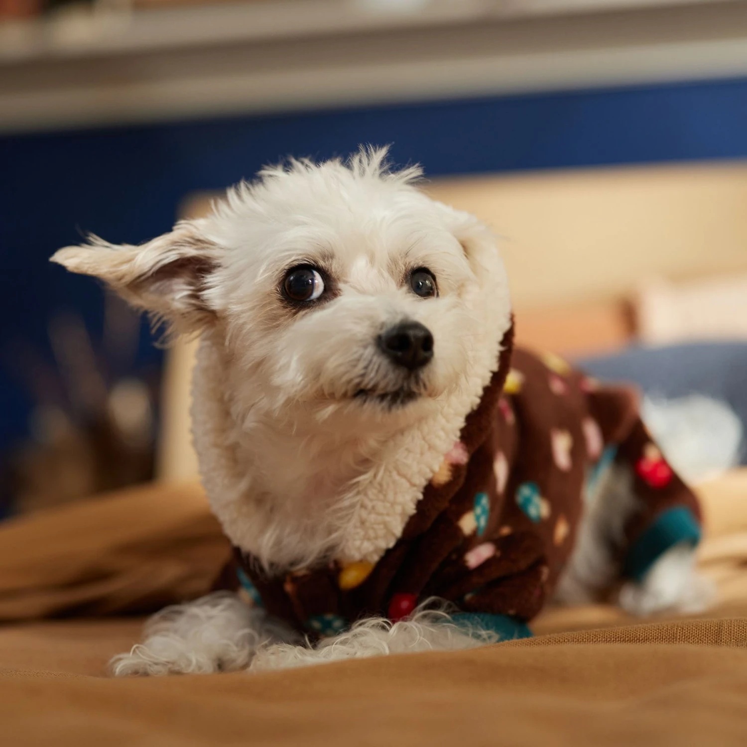 Frisco Cozy Plush Fleece Dog & Cat PJs, Mushrooms 7 Frisco Cozy Plush Fleece Dog & Cat PJs, Mushrooms - Image 7