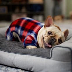 Frisco Cozy Plush Fleece Dog & Cat PJs, Plaid -Pet Care Sales 719102 PT7. AC SS1800 V1692378973