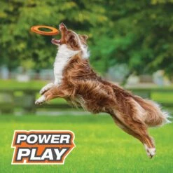 Nylabone Power Play Super Flyer Gripz Disc Dog Toy, One Size 12 Nylabone Power Play Super Flyer Gripz Disc Dog Toy, One Size -Pet Care Sales 737950 PT3. AC SS1800 V1672931818