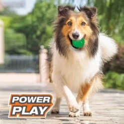 Nylabone Power Play Gum-a-Ball Dog Toy, One Size, 2 Count 11 Nylabone Power Play Gum-a-Ball Dog Toy, One Size, 2 Count -Pet Care Sales 737982 PT2. AC SS1800 V1672930487