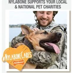 Nylabone Power Play Gum-a-Ball Dog Toy, One Size, 2 Count 15 Nylabone Power Play Gum-a-Ball Dog Toy, One Size, 2 Count -Pet Care Sales 737982 PT6. AC SS1800 V1672930490