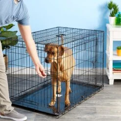 Precision Pet Products Provalu Double Door Collapsible Wire Dog Crate -Pet Care Sales 74070 PT7. AC SS1800 V1496757266