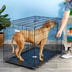 Precision Pet Products Provalu Double Door Collapsible Wire Dog Crate -Pet Care Sales 74070 PT8. AC SS1800 V1496757360