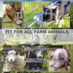 Win World Gazebo Automatic Dog & Cat Feeder, Grey, Large -Pet Care Sales 740734 PT5. AC SS1800 V1671222524