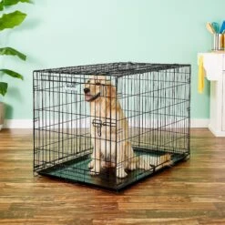 Precision Pet Products Provalu Single Door Collapsible Wire Dog Crate