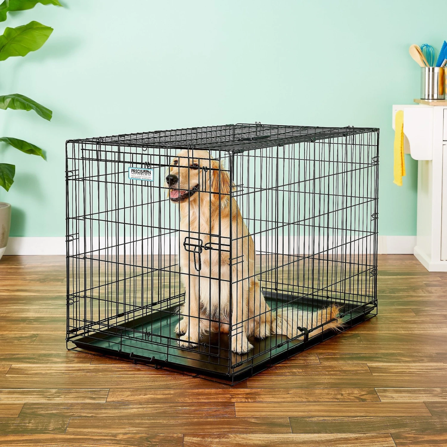 Precision Pet Products Provalu Single Door Collapsible Wire Dog Crate 1 Precision Pet Products Provalu Single Door Collapsible Wire Dog Crate