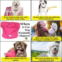 SunGrow Reusable Female Cat & Dog Diapers For Heat Cycle, 9-in To 15-in Waist, 3 Count -Pet Care Sales 741558 PT4. AC SS1800 V1700156086