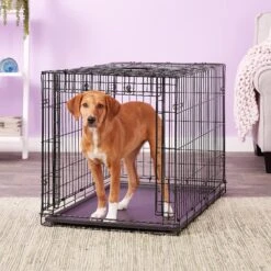 MidWest Ovation Single Door Collapsible Wire Dog Crate