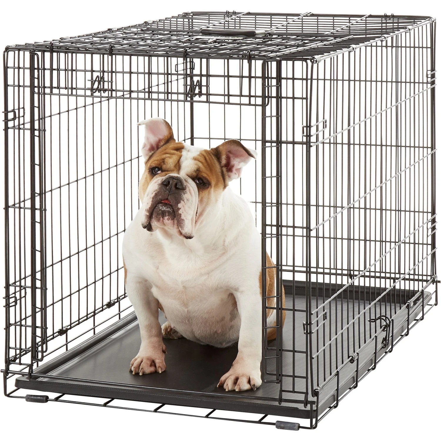 MidWest Ovation Single Door Collapsible Wire Dog Crate 4 MidWest Ovation Single Door Collapsible Wire Dog Crate - Image 4