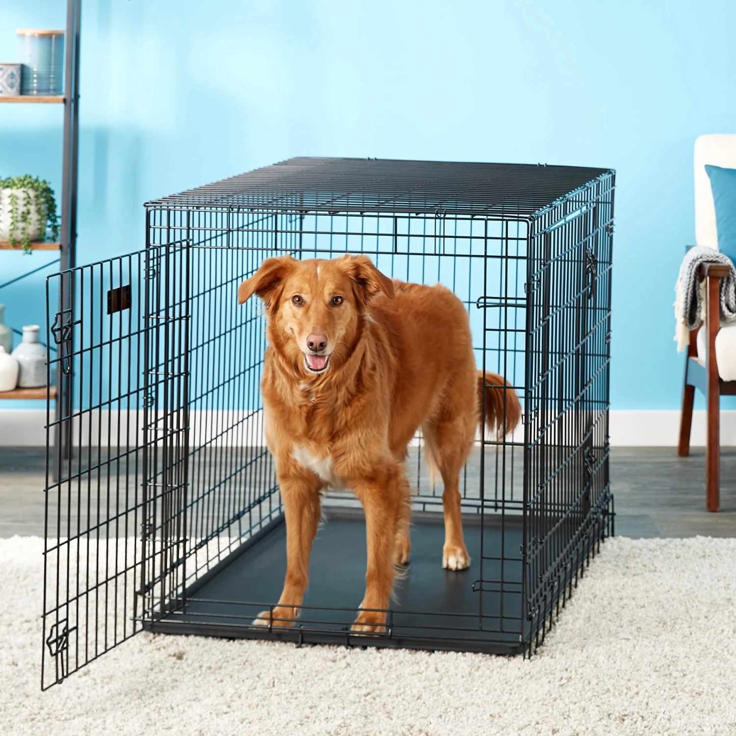 MidWest Ultima Pro Double Door Collapsible Wire Dog Crate 1 MidWest Ultima Pro Double Door Collapsible Wire Dog Crate