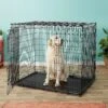 MidWest Solutions Series XX-Large Heavy Duty Double Door Wire Dog Crate, 54 Inch