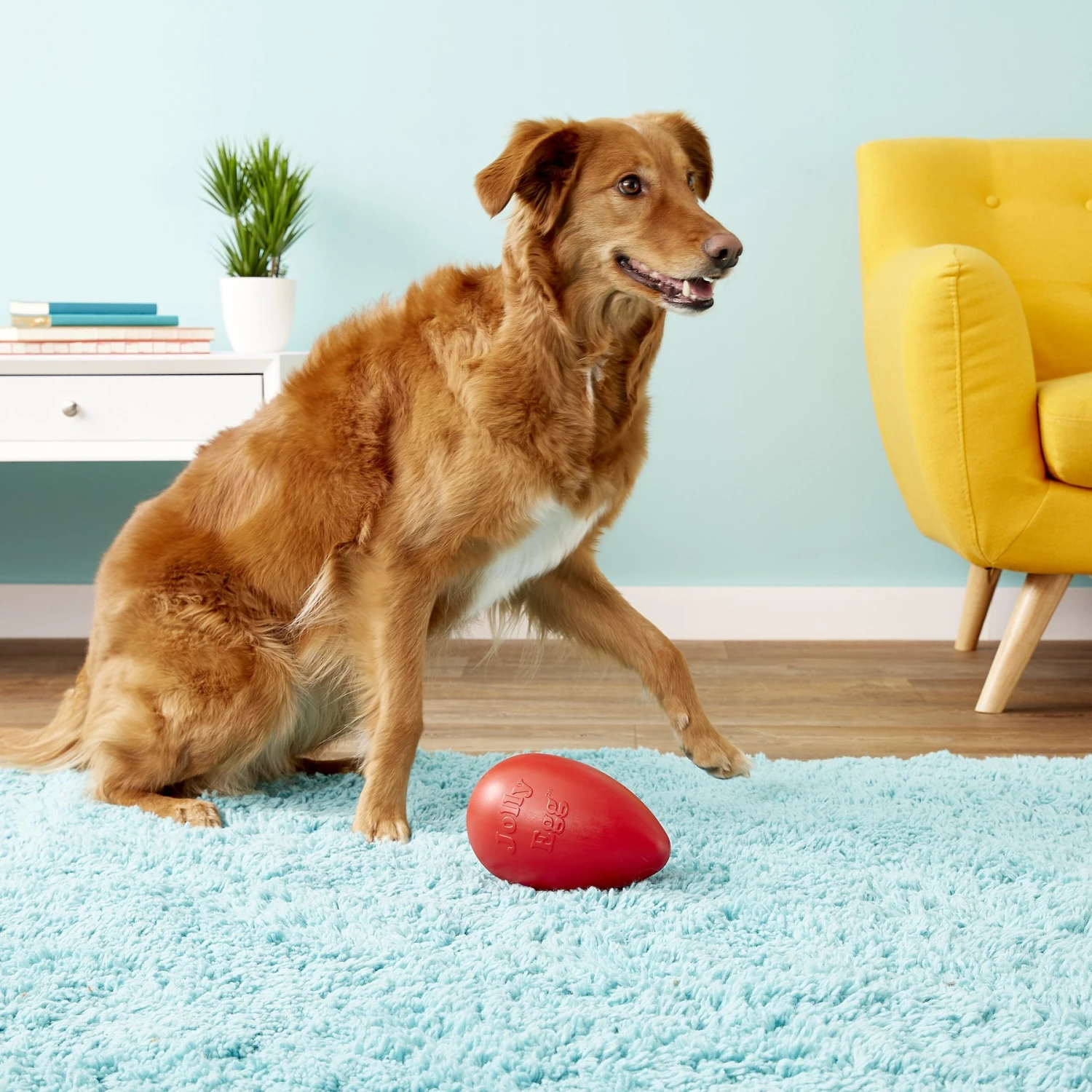 Jolly Pets Jolly Egg Dog Toy, Red 4 Jolly Pets Jolly Egg Dog Toy, Red - Image 4