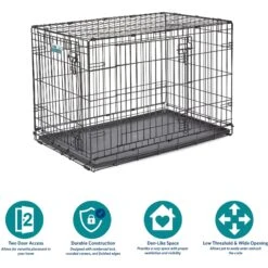 MidWest ICrate Fold & Carry Double Door Collapsible Wire Dog Crate & KONG Classic Dog Toy -Pet Care Sales 752366 PT4. AC SS1800 V1672869881