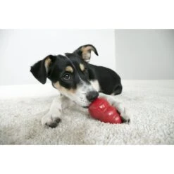 MidWest ICrate Fold & Carry Double Door Collapsible Wire Dog Crate & KONG Classic Dog Toy -Pet Care Sales 752366 PT8. AC SS1800 V1672928527