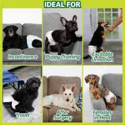 Hartz Disposable Male & Female Dog Diapers & Hartz Oinkies Chickentastic Tender With Chicken Natural Chew Dog Treats 13 Hartz Disposable Male & Female Dog Diapers & Hartz Oinkies Chickentastic Tender With Chicken Natural Chew Dog Treats -Pet Care Sales 754238 PT4. AC SS1800 V1673360791