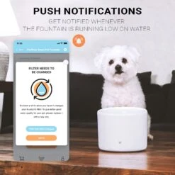 INSTACHEW Purrflow Smart Dog & Cat Water Fountain, White, 2-L -Pet Care Sales 757694 PT2. AC SS1800 V1691762482
