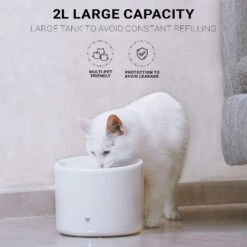 INSTACHEW Purrflow Smart Dog & Cat Water Fountain, White, 2-L -Pet Care Sales 757694 PT4. AC SS1800 V1691703367
