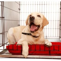 KOPEKS Heavy Duty Multipurpose Steel Replacement Pet Crate Tray 8 KOPEKS Heavy Duty Multipurpose Steel Replacement Pet Crate Tray -Pet Care Sales 758502 PT2. AC SS1800 V1674494919