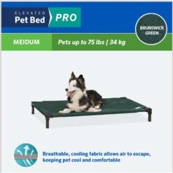 Coolaroo Pro Replacement Cover Elevated Dog & Cat Bed -Pet Care Sales 763022 PT3. AC SS1800 V1674768928