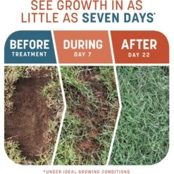 Pennington Smart Patch Bermudagrass Mix Dog Lawn-Treatment & Grass Saver -Pet Care Sales 763358 PT2. AC SS1800 V1674757888