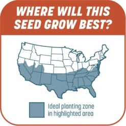 Pennington Smart Patch Bermudagrass Mix Dog Lawn-Treatment & Grass Saver -Pet Care Sales 763358 PT6. AC SS1800 V1674769353