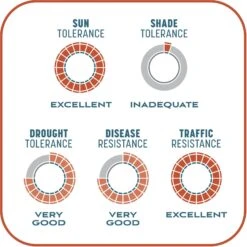 Pennington Smart Patch Bermudagrass Mix Dog Lawn-Treatment & Grass Saver -Pet Care Sales 763358 PT8. AC SS1800 V1674769356