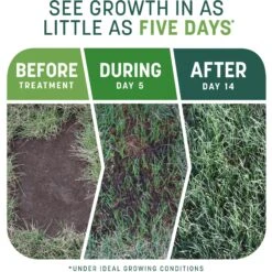 Pennington Smart Patch Sun & Shade Mix Dog Lawn-Treatment & Grass Saver -Pet Care Sales 763398 PT2. AC SS1800 V1674745147