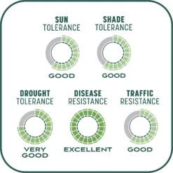 Pennington Smart Patch Sun & Shade Mix Dog Lawn-Treatment & Grass Saver -Pet Care Sales 763398 PT8. AC SS1800 V1674772905