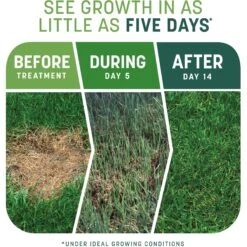 Pennington Smart Patch Tall Fescue Mix Dog Lawn-Treatment & Grass Saver -Pet Care Sales 763422 PT2. AC SS1800 V1674769873