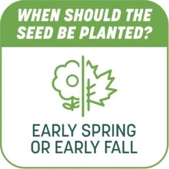 Pennington Smart Patch Tall Fescue Mix Dog Lawn-Treatment & Grass Saver -Pet Care Sales 763422 PT7. AC SS1800 V1674768930