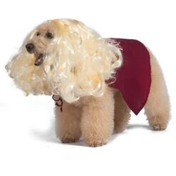 Disney Hocus Pocus Halloween Sarah Sanderson Cape & Pet Wig Dog Costume With PVC Bag & Insert Card -Pet Care Sales 763518 PT3. AC SS1800 V1686850100