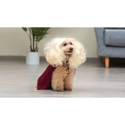 Disney Hocus Pocus Halloween Sarah Sanderson Cape & Pet Wig Dog Costume With PVC Bag & Insert Card -Pet Care Sales 763518 PT5. AC SS1800 V1686849979