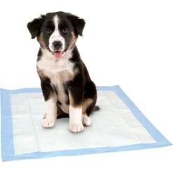 Dr. Pol 22x22-in Dog Training Pad, 100 Count 13 Dr. Pol 22x22-in Dog Training Pad, 100 Count -Pet Care Sales 773726 PT6. AC SS1800 V1676913946