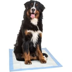 Dr. Pol 28x30-in Fresh Scent Dog Training Pad -Pet Care Sales 773750 PT3. AC SS1800 V1676913833