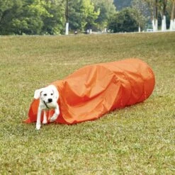 Outward Hound Zip & Zoom Closed Tunnel Chute Attachment With Metal Stakes Dog Agility Kit, Orange -Pet Care Sales 786494 PT4. AC SS1800 V1682620881