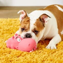 Multipet Latex Hippo Squeaky Dog Toy, Color Varies 9 Multipet Latex Hippo Squeaky Dog Toy, Color Varies -Pet Care Sales 78732 PT8. AC SS1800 V1506976486