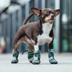 Canada Pooch Soft Shield Dog Boots -Pet Care Sales 803006 PT4. AC SS1800 V1682088022