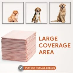 Chew + Heal Max Protect Ultra Absorbent Dog Potty Pads, 30 X 36-in -Pet Care Sales 804806 PT4. AC SS1800 V1679000985