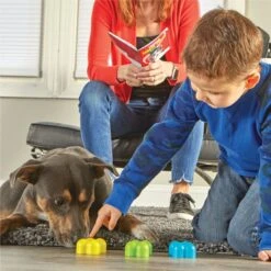 Brightkins Magic Trick! Training Set Dog Toys -Pet Care Sales 805358 PT4. AC SS1800 V1682450347