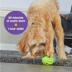 Brightkins Cactus Surprise! Treat Dispensing Dog Toy 9 Brightkins Cactus Surprise! Treat Dispensing Dog Toy -Pet Care Sales 805422 PT3. AC SS1800 V1682450547