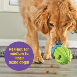 Brightkins Cactus Surprise! Treat Dispensing Dog Toy 10 Brightkins Cactus Surprise! Treat Dispensing Dog Toy -Pet Care Sales 805422 PT4. AC SS1800 V1682450356