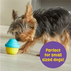 Brightkins Small Cupcake Treat Dispenser Dog Toy 9 Brightkins Small Cupcake Treat Dispenser Dog Toy -Pet Care Sales 805438 PT3. AC SS1800 V1682450416