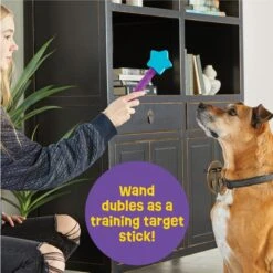 Brightkins Magic Wand! Star Treat Dispensing Dog Tpy -Pet Care Sales 805454 PT2. AC SS1800 V1678999699